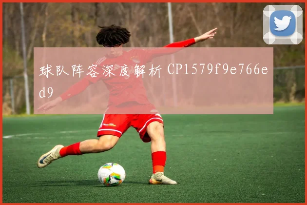 球队阵容深度解析 CP1579f9e766ed9